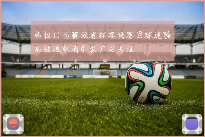 弗拉门戈解放者杯客场赛因球迷骚乱被迫取消引发广泛关注